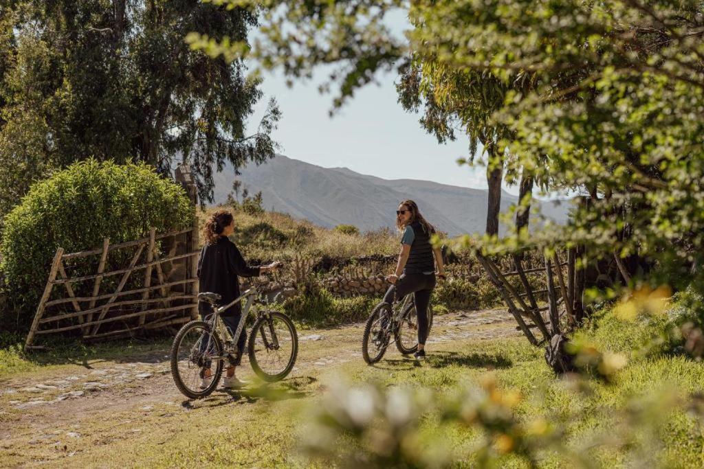 Colca Trek Lodge Best Experience Pinchollo Exteriér fotografie